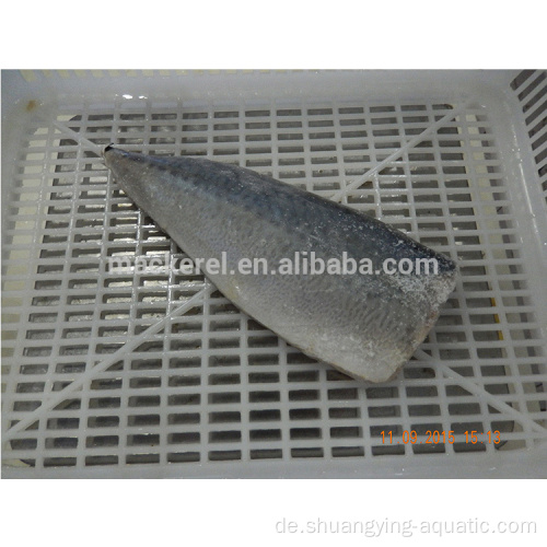 Chinesische Fisch Frozen Pacific Makrele Filet